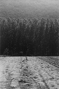 Edouard Boubat