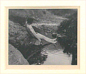 On the Dip Sea Trail (Roi Partridge)