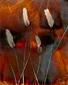 Untitled #11