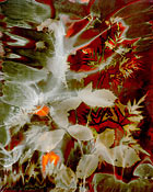 Untitled #1