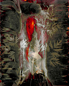 Untitled #2