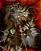 Untitled #6