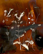 Untitled #9