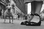 "New York City," 1946