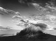 Eel Creek Dunes IV