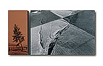 Last Tree/Cultivation